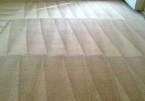 Capture Pet Stain & Odor Remover - Enzyme Pet Odor Eliminator for Home, Carpet Stain Remover for Cats & Dog Pee, Cat Urine Destroyer, Carpet Cleaner Spray - 1 Gallon Bottle