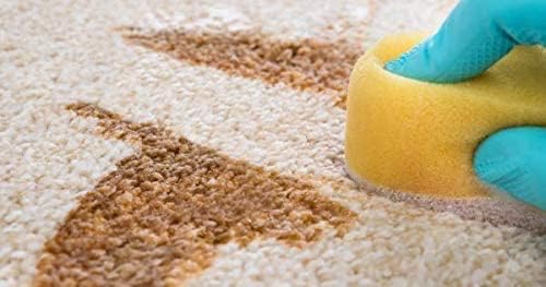 Capture Pet Stain & Odor Neutralizer - Pet Stain Remover for Carpet, Wood, Leather, Rug, Bed, Couch, Car, Upholstery, Clothes, Curtains, Wall, Floor, Concrete - 32oz Portable Spray Bottle