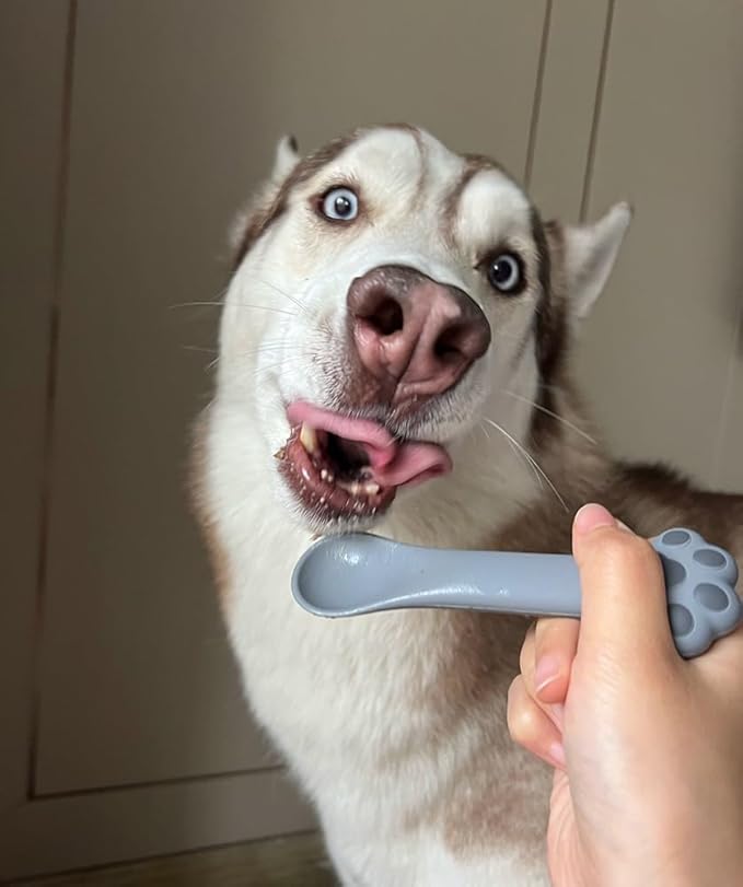 2 Pack Dog Cat Food Spoon Spatula, Cute Paw Pet Can Opener Mixing Spoons for Dog Cat Wet Food, Small Silicone Spatula Cat Treat Spoon Pet Cannd Food Scoop for Dog Cat, Grey