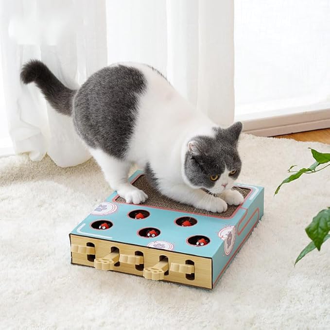 Cat Enrichment Toys for Indoor Cats, Whack a Mole Game Cat Puzzle Toy, Safe Fun Box Paws Scratcher, Interactive Box Catch Mice Game Cat Puzzle Toy for All Ages Exercise Puzzle Relieve Boredom(Blue)