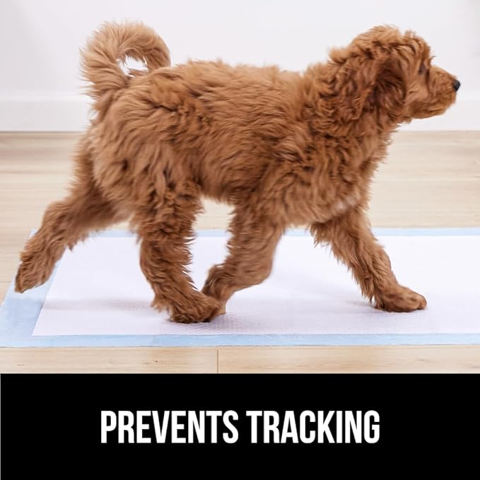 Gorilla Guard Disposable Puppy Pads, 150 Count 22x22 in, 5 Layer Pee Pads for Dogs, Absorbent Diaper Changing Pad, Dog Potty Training Supplies, Quick Dry Pet Housebreaking Essentials for Puppies