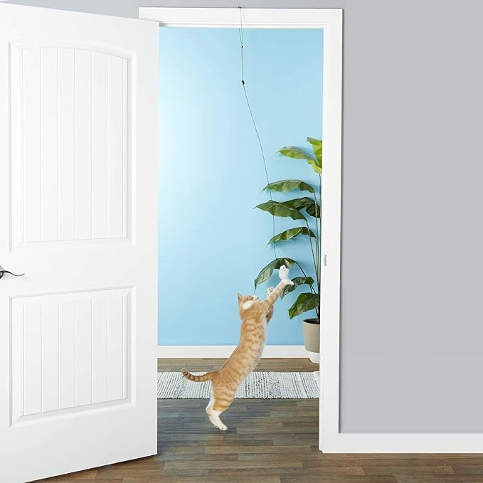 A-Door-Able Bouncing Mouse Rattle and Catnip Toy