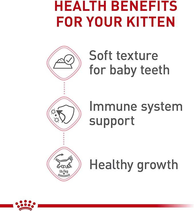 Royal Canin Feline Health Nutrition Kitten Loaf in Sauce Canned Cat Food, 3 oz can (Pack of 24)