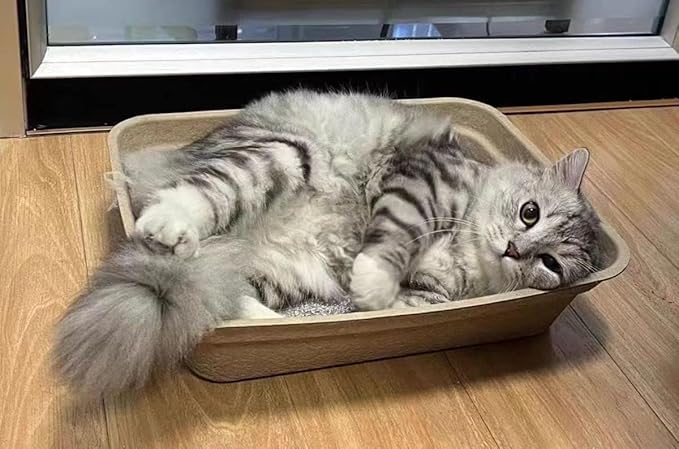 Disposable Cat Litter Box(3 Pack), Disposable Litter Box and Paper Cat Litter Tray for Cats,Hamster, Guinea Pig, Mice, Small Animals ,Multilayer,Sturdy, Leak Resistant and Sustainable (Large)