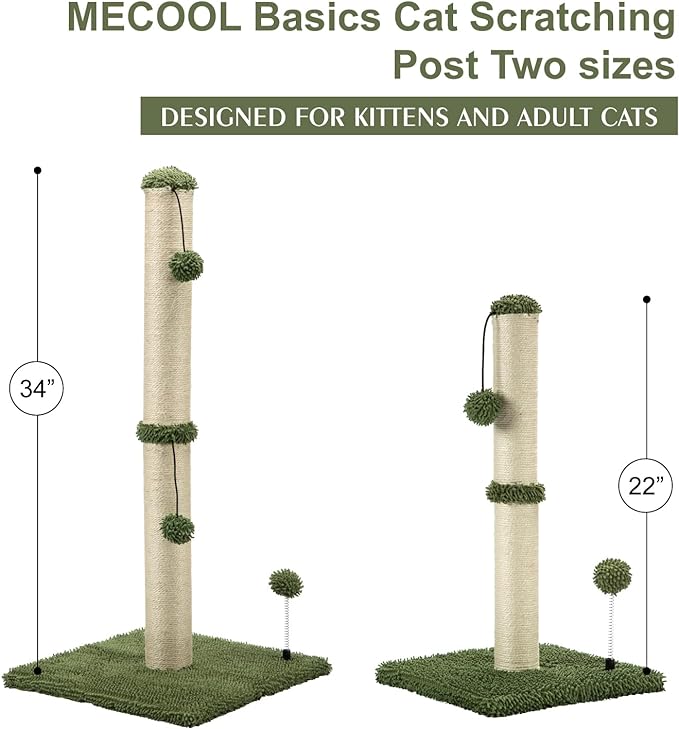MECOOL Cat Scratching Post Premium Basics Kitten Scratcher Sisal Scratch Posts with Hanging Ball 22in for Kittens or Smaller Cats (22 inches for Kitten, Cactus Green)