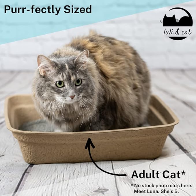 Luli & Cat Disposable Litter Boxes for Cats | Large Sized 4-Pack | Durable and Water Resistant