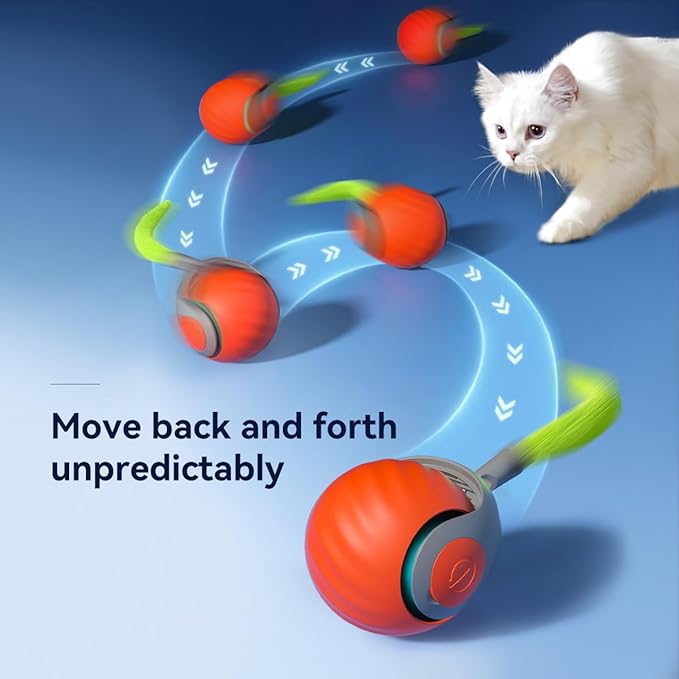 Speedy Sprint Ball Toy for Cat Type-C Rechargeable Interactive Cats Toy Orange