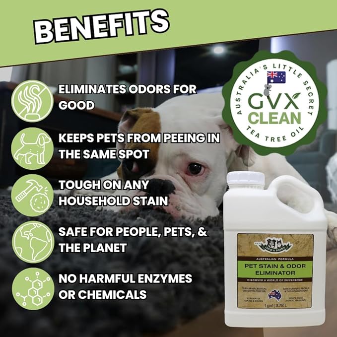 Pet Stain & Odor Eliminator for Home - Pet Carpet Cleaner – Urine Odor Eliminator – Carpet Stain Remover – Cat & Dog Pee Spray Cleaner (1 Gallon)