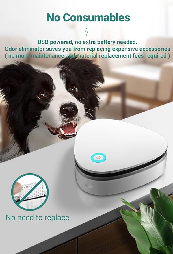 Dust-Free Odor Removers, 90% Deodorization & 99.9% Dust reduction, Litter Box Odor Eliminator, Cat Litter Deodorizer, Widely used in Cat Litter Box, Bathroom, Wardrobe, Kitchen, Pet Shop (011)