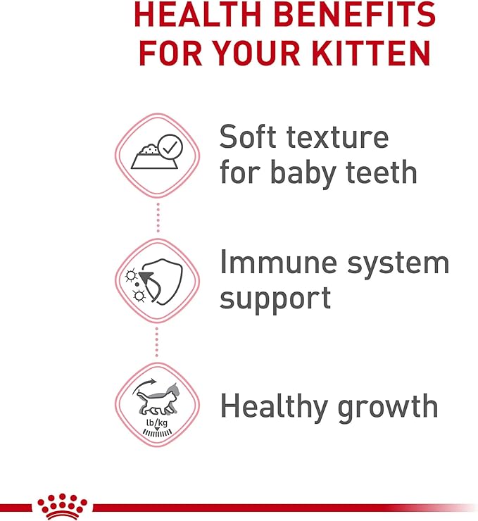 Royal Canin Feline Health Nutrition Kitten Loaf in Sauce Canned Cat Food, 5.1 oz can (24-count)