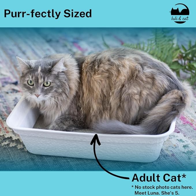 Luli & Cat Disposable Litter Boxes for Cats | Large Sized White Colored 4-Pack | Durable and Water Resistant