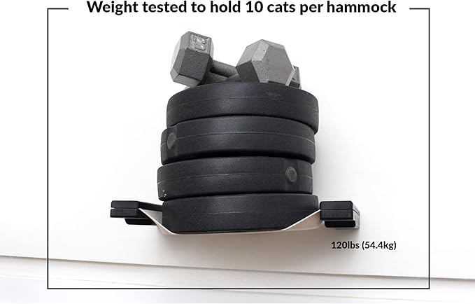 Catastrophic Creations Cat Planter Lounge Cat Hammock — 33-Inch Black/Natural Canvas— Cat Wall Shelf— Cat Wall Furniture — Cat Climbing Shelves — Cat Floating Shelves — Cat Wall Hammock