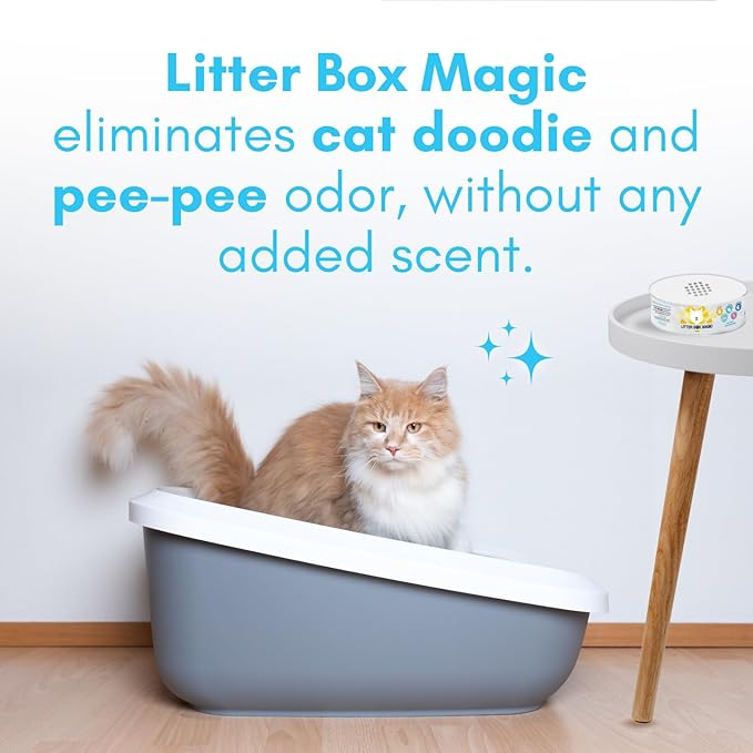 Cat Litter Deodorizer Jar (Fragrance Free, 16 Oz, Pack of 1) - Unscented Cat Litter Odor Control Gel - Cat Litter Box Pet Air Freshener - Litter Odor Eliminator to Freshen Air