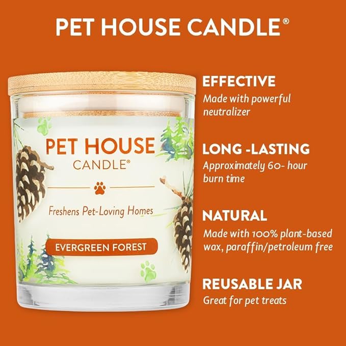 One Fur All Pet House Evergreen Forest Candles Plant-Based/Soy Candle - Clean Burning Scented Candles, Long Lasting Pet Odor Candle for Home - 4 Pack