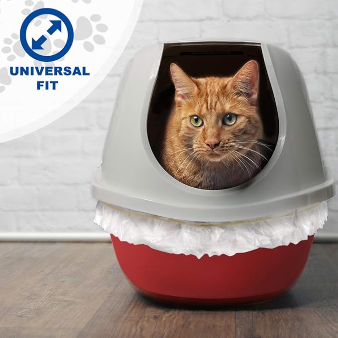 Alfapet Kitty Cat Pan Disposable, Sifting Liners- 60 count + 1 Transfer Liner-For Large, X-Large, Giant, Extra-Giant Size Litter Boxes-Included Rubber Band for Firm, Easy Fit - Pack of 6