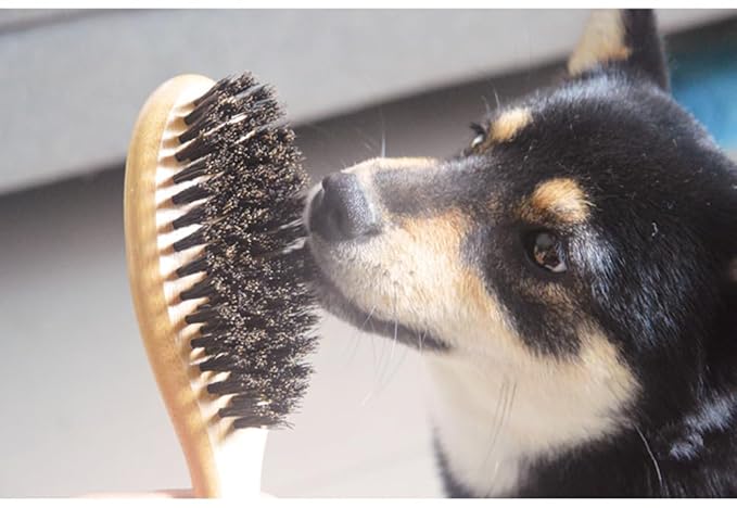 Cat & Dog Brush with Boar Bristle, Professional Grade Daily Grooming Hairbrush for Soft Hair and Healthy Shine, Short Haired Dogs Hair Brush for Reducing Shedding with Brush Cleaner