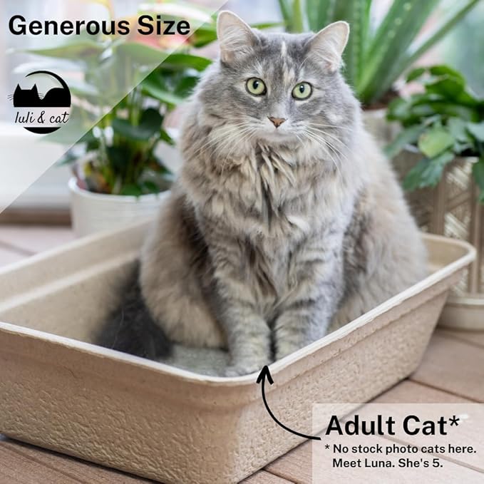 Luli & Cat Disposable Litter Boxes for Cats | Jumbo Sized 4-Pack | Durable and Water Resistant
