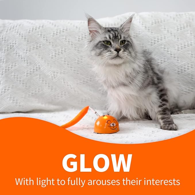 ALL FOR PAWS Interactive Cat Ball Toy (Orange)