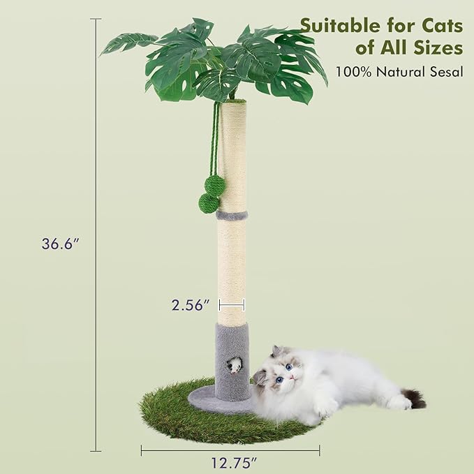 Cat Scratching Posts for All Cats with Hanging Ball and Sisal Rope Cat Toy, Simple Design - for Larger Cats - 35.43" Tall,Wooden Palm Tree Premium Basics Cat Toys Kitten(Grey