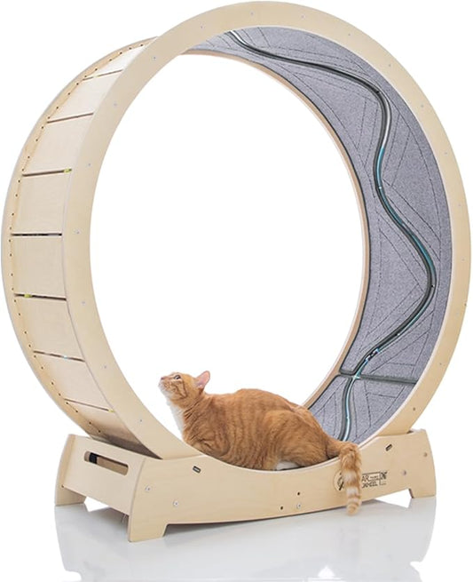Star Cat Wheel, Cat Treadmill, Exercise Wheel for Running, Spinning, Scratching, and Climbing for Indoor Cats, Premium Birch Wood, Eco-Friendly, Moving Fish, Wide Running Track, 41.7 inch L Size