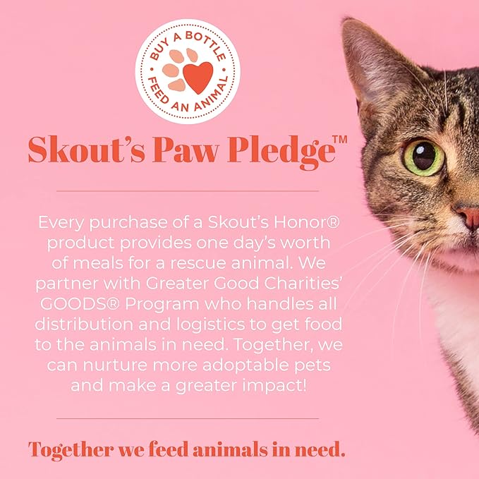 SKOUT'S HONOR Probiotic Cat Shampoo & Conditioner with Avocado Oil & Omega-3s, 97% Natural, Paraben & Sulfate-Free, Cruelty-Free, 16oz, Honeysuckle