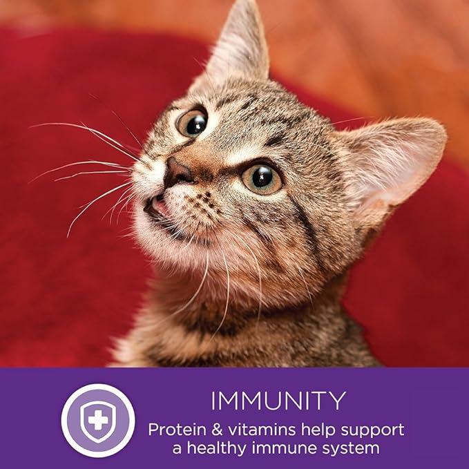 Wellness Complete Health Natural Grain Free Wet Canned Cat Food, Cubed Chicken Entrée in Rich Gravy, 5.5-Ounce Can (Pack of 24)