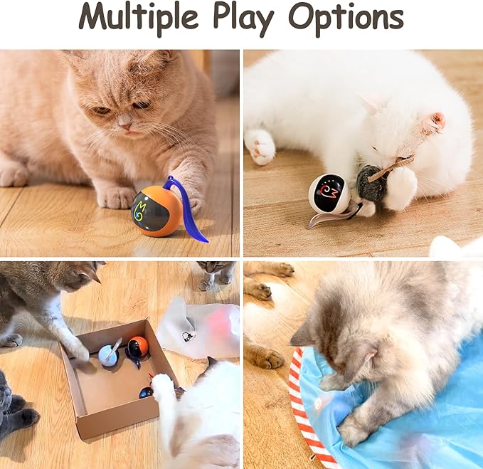 Migipaws Interactive Cat Ball Toy Set, Fun Tracker, Glowing Chase Ball with MystiChaser Pouch, Fluffy Tail, A Small Mice (Orange)