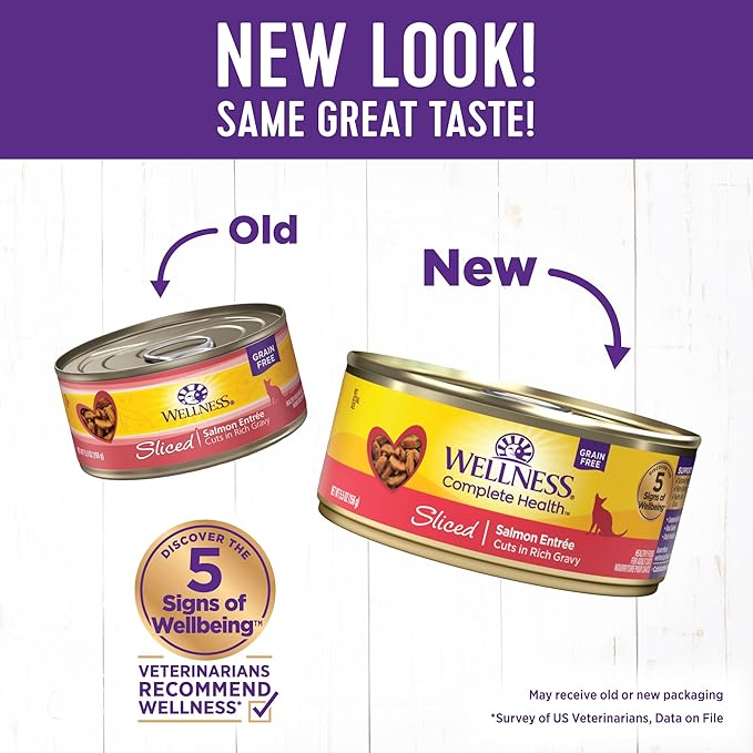 Wellness Natural Pet Food Wellness Complete Health Natural Grain Free Wet Canned Cat Food, Sliced Salmon Entree, 5.5 Ounce (Pack of 24)