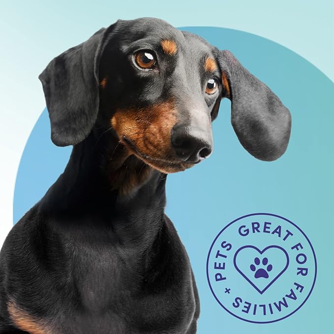 Bioesque Urine Neutralizer, Pet-Friendly Natural Enzymatic & Bacterial Formula, Instantly Breaks Down Urine Odors, Helps Prevent Repeat Mishaps, 1 Gallon (Pack of 1)