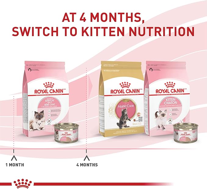 Royal Canin Feline Health Nutrition Mother & Babycat Ultra Soft Mousse in Sauce Canned Cat Food, 5.1 Oz Can