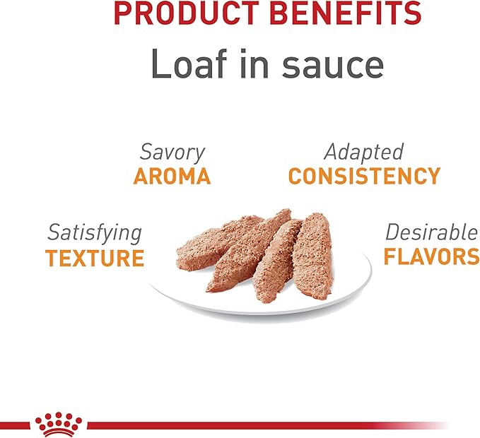 Royal Canin Feline Care Nutrition Hair & Skin Care Loaf in Sauce Canned Cat Food, 3 oz can (24-count)