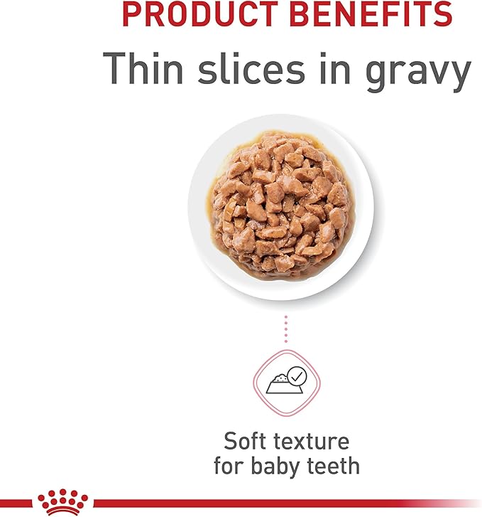 Royal Canin Feline Health Nutrition Kitten Thin Slices in Gravy Canned Cat Food, 3 oz cans 12-pack