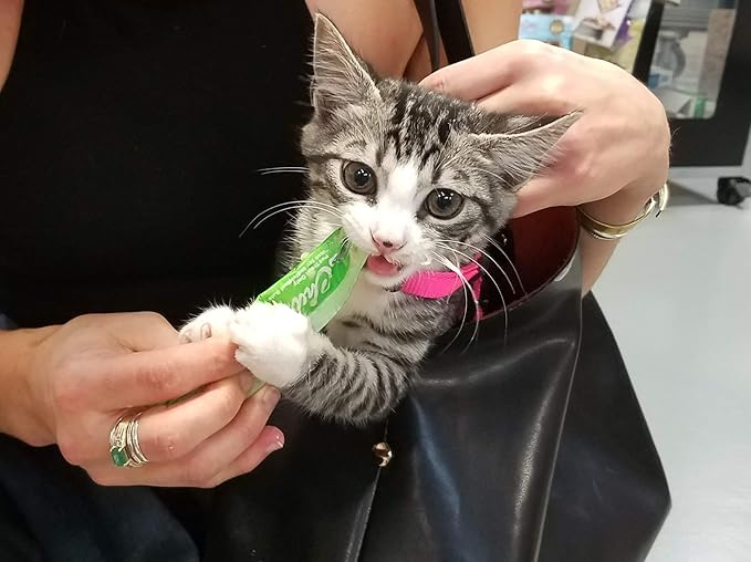 INABA Churu Cat Treats, Grain-Free, Lickable, Squeezable Creamy Purée Cat Treat/Topper with Vitamin E & Taurine, 0.5 Ounces Each Tube, 4 Tubes, Chicken with Crab Recipe (Pack of 2)