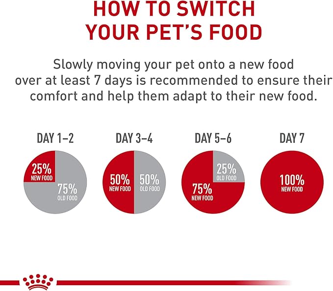 Royal Canin Feline Health Nutrition Kitten Thin Slices in Gravy Canned Cat Food, 3 oz., Count of 24