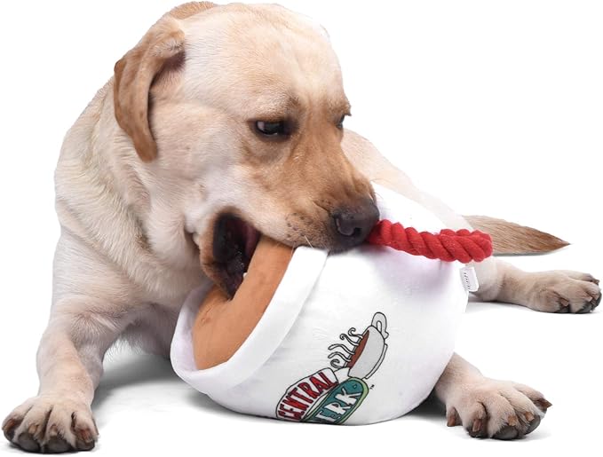 Central Perk Coffee Mug Plush Dog Toy With Rope Handle | 12-Inch Cute Squeaky Toy for All Dogs | Stuffed Dog Toys With Squeaker, Friends Memorabilia