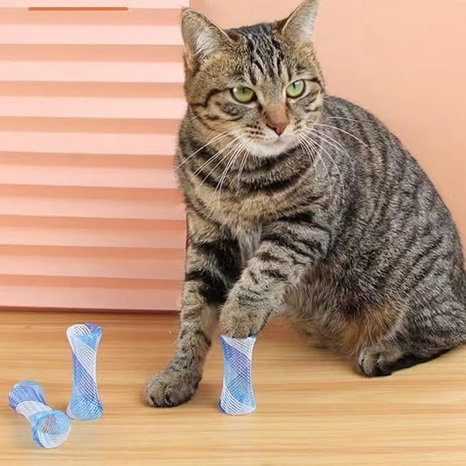 Cat Spring Tube Toy, 10Pcs Freely Folding Spring Shape Multi Color Cat Bouncing Toy Fun Pet Action Interactive Toys
