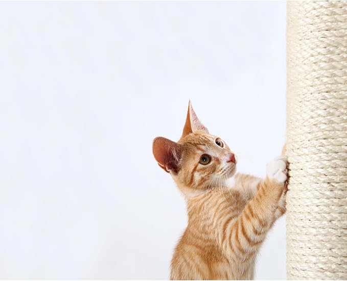 Trixie Replacement Sisal Post for Scratching Posts, Cat Trees and Cat Towers, 3.5 in x 23.6 in (9 x 60 cm)