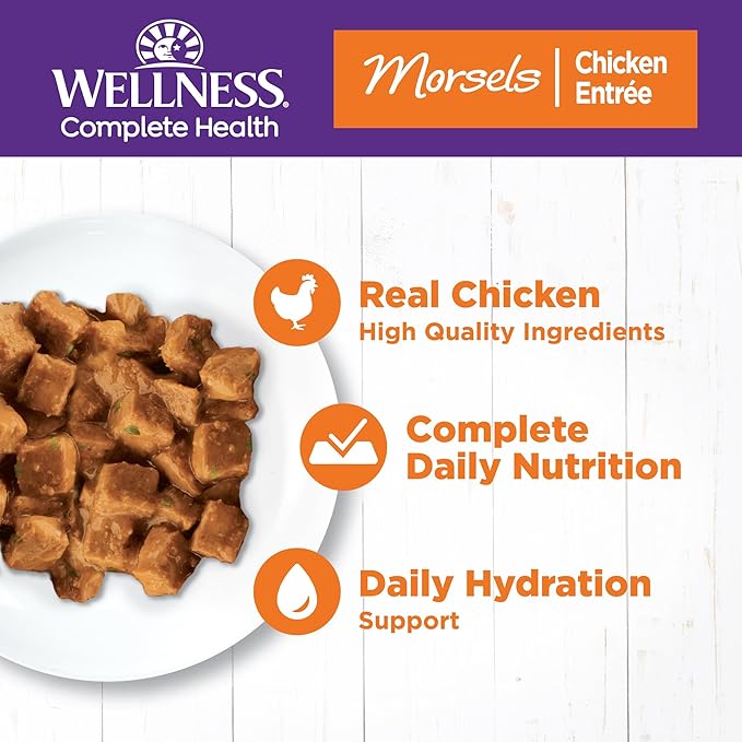 Wellness Complete Health Natural Grain Free Wet Canned Cat Food, Cubed Chicken Entrée in Rich Gravy, 5.5-Ounce Can (Pack of 24)