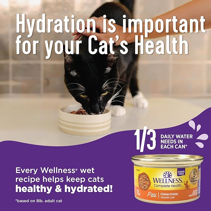 Wellness Complete Health Natural Grain Free Wet Canned Cat Food, Sliced Chicken Entree, 3 Ounce Can (Pack of 24)
