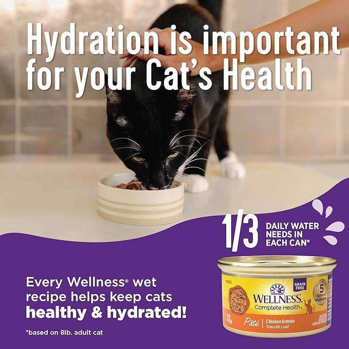 Wellness Complete Health Natural Grain Free Wet Canned Cat Food, Cubed Tuna Entree, 3-Ounce Can (Pack of 24)