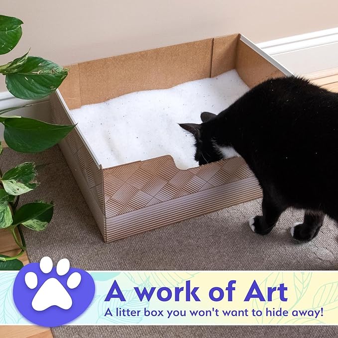 Leakproof Disposable 2-Pack Cat Litter Box - Unmatched Odor Control | Recyclable — Kitty Poo Club
