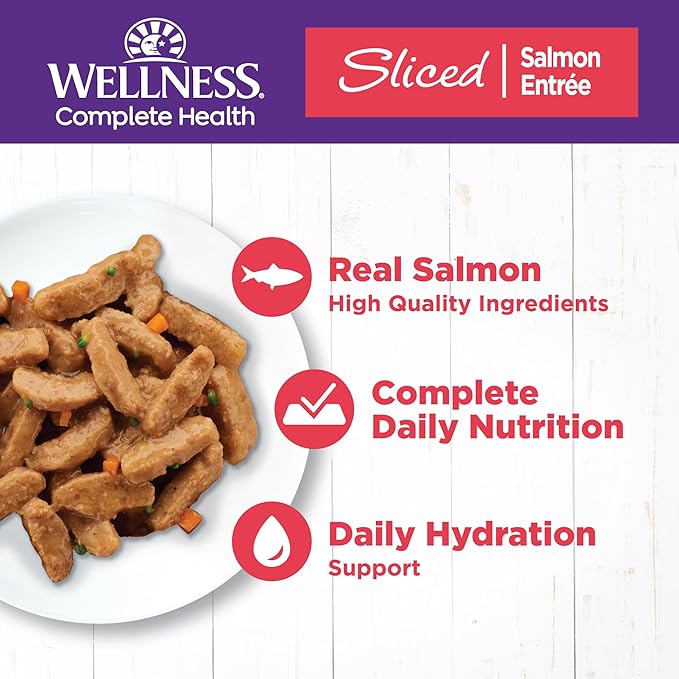 Wellness Natural Pet Food Wellness Complete Health Natural Grain Free Wet Canned Cat Food, Sliced Salmon Entree, 5.5 Ounce (Pack of 24)
