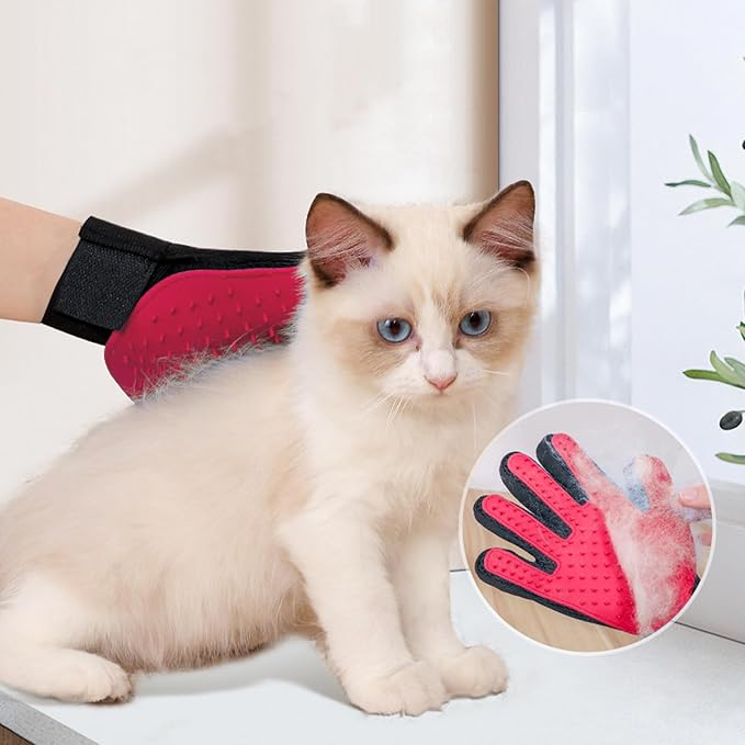 Kitten Starter Kit, 15 Piece Cat Essentials Set Includes Cat Litter Box,Cat Toys, Cat Collars,Cat Scratch Pad, Cat Nail File,Automatic Cat Feed Bowls, Pet Grooming Gloves for Cats (Pink)