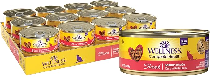 Wellness Natural Pet Food Wellness Complete Health Natural Grain Free Wet Canned Cat Food, Sliced Salmon Entree, 5.5 Ounce (Pack of 24)