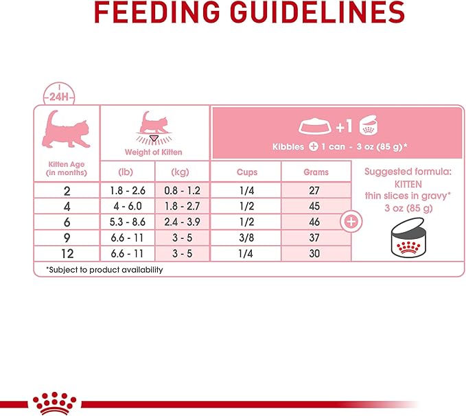 Royal Canin Feline Health Nutrition Kitten Thin Slices in Gravy Canned Cat Food, 3 oz cans 12-pack
