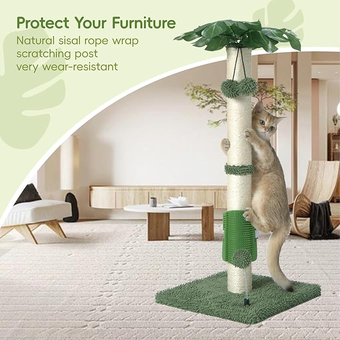 MECOOL Cat Scartching Post,30-inch Cute Scartching Posts for Indoor Cats and Kittens,Natural Sisal Rope and Hanging Ball Toy, Self-Grooming Brush,Green