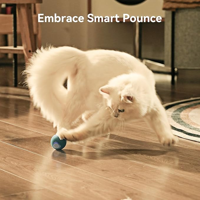 Cheerble 【2025 Upgrade】 Interactive Cat Ball Toy, Wicked Ball M3, Automatic Moving Ball Toy for Indoor Cat Kitten, Smart Anti-Depression Pet Toy Fun Gift with Light