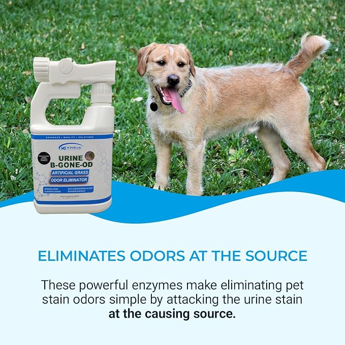 Kinzua Environmental Urine B-Gone OD Professional Pet Urine Enzyme Cleaner, Pet Yard Odor Eliminator for Artificial Grass, Concrete & More, 32 fl oz