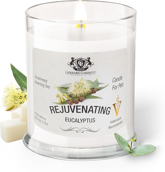 Rejuvenating Eucalyptus Scented Candles for Home Decor and Pet Odor - Aromatherapy Stress Relief Soy Wax Candles - Pet Odor Eliminator for Home - Pet Friendly