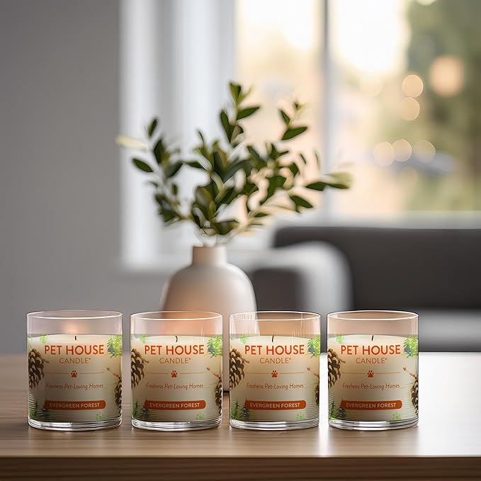 One Fur All Pet House Evergreen Forest Candles Plant-Based/Soy Candle - Clean Burning Scented Candles, Long Lasting Pet Odor Candle for Home - 4 Pack